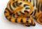 Scultura piccola tigre vintage in gesso policromo, anni '70, Immagine 6
