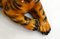 Escultura de tigre vintage pequeña de yeso policromado, años 70, Imagen 5