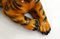 Small Vintage Tiger Sculpture in Polychrome Plaster, 1970s 5