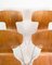 Sillas de comedor modelo T de teca de Arne Jacobsen, años 60. Juego de 4, Imagen 3