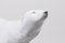 Escultura de oso polar checoslovaco grande de Royal Dux, años 60, Imagen 6