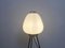 Floor Lamp from Stilnovo, 1950s 3