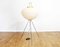 AKARI 10A Floor Lamp by Isamu Noguchi, Image 17