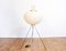AKARI 10A Floor Lamp by Isamu Noguchi, Image 1