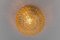 unburst Round Amber Bubble Glass Wall Lamp, Limburg, 1960s 9