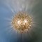 Bubble Glass Ceiling Lamp from Helena Tynell, Germany, 1970s 2