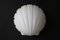 Muschel Shell Wall Lamp from Limburg 3