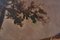 Después de Brascassat, Toro frotándose contra un árbol, óleo sobre lienzo, enmarcado, Imagen 5