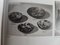 Vintage Aschenbecher aus Muranoglas von Giulio Radi für Avem, 1950er 16