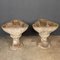 Scalloped Stone Garden Urns, 1960, Set of 2 22