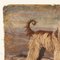 Frederick Thomas Daws, Afghanischer Windhund, Öl auf Leinwand, 1930, Gerahmt 8