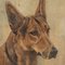 Frederick Thomas Daws, Antique German Shepherd, Oil on Canvas, 1926, Framed 6