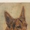 Frederick Thomas Daws, Antiker Deutscher Schäferhund, Öl auf Leinwand, 1926, Gerahmt 5