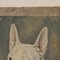 Frederick Thomas Daws, Bull Terrier Anglais Antique, Huile sur Toile, 1920, Encadré 10