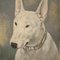 Frederick Thomas Daws, Bull Terrier Anglais Antique, Huile sur Toile, 1920, Encadré 7