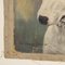 Frederick Thomas Daws, Antique English Bull Terrier, Oil on Canvas, 1920, Framed 6