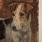 Frederick Thomas Daws, Antiker Jack Russell Terrier, Öl auf Leinwand, 1920, Gerahmt 2