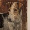 Frederick Thomas Daws, Antique Jack Russell Terrier, Oil on Canvas, 1920, Framed 2