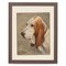 Frederick Thomas Daws, Basset Hound, Oil on Canvas, 1930, Framed 8