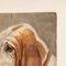 Frederick Thomas Daws, Basset Hound, Öl auf Leinwand, 1930, gerahmt 5