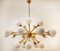 Sputnik Chandelier in Brass with Spherical Glass Shades 2