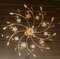 10-Light Ceiling Lamp with Coloured Crystals 10
