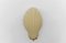 Shell-Shaped Cream Satin Glass Wall Light, Italy, 1960s, Image 3