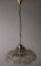 Flower-Shaped Hanging Lamp attributed to J. T. Kalmar 24