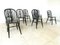 Ebonized Dining Chairs from Ercol, 1950s, Set of 8 3