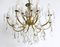 French Brass and Crystal Chandelier, 1950s 3