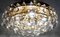 Vintage Brass and Crystal Chandelier, 1960s, Image 7
