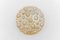 Montura al ras en 3D en forma de concha fósil moderna Mid-Century redonda en ámbar, años 60, Imagen 1
