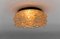 Mid-Century Modern Round Amber 3D Fossil Shell-Shaped Flush Mount, 1960s, Image 4
