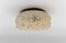 Montura al ras en 3D en forma de concha fósil moderna Mid-Century redonda en ámbar, años 60, Imagen 3