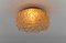 Mid-Century Modern Round Amber 3D Fossil Shell-Shaped Flush Mount, 1960s 6