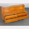 Vintage Wood and Glass Storage Unit, 1960s 3
