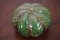 Green Glazed Pottery Paperweight by Debbie Prosser for Cornish Studio 5