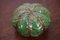 Green Glazed Pottery Paperweight by Debbie Prosser for Cornish Studio, Image 5