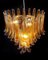 Italian Murano Glass Chandeliers, Set of 2 7