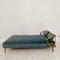 Mid-Century Daybed / Bed in Beech and Velvet, 1950s 1