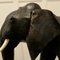 Arts and Crafts Ledermodell eines Elefantenbullen, 1930er 2