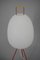 Egg Floor Lamp attributed to Napako, 1960s, Image 3