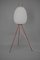 Egg Floor Lamp attributed to Napako, 1960s, Image 2