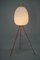Egg Floor Lamp attributed to Napako, 1960s 5