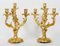 19th Century Gilt Bronze Candelabras, Set of 2 4