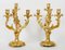 Candelabros de bronce dorado, siglo XIX. Juego de 2, Imagen 4