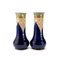 19th Century Enamelled Stoneware Vases from Doulton Lambeth, Set of 2 2