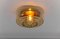 Amber Gold Wall Lamps / Flush Mounts, 1960s, Set of 2, Image 2
