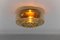 Amber Gold Wall Lamps / Flush Mounts, 1960s, Set of 2, Image 8