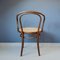 Butaca No. 209 de madera curvada y ratán de ZPM Radomsko, años 70, Imagen 6